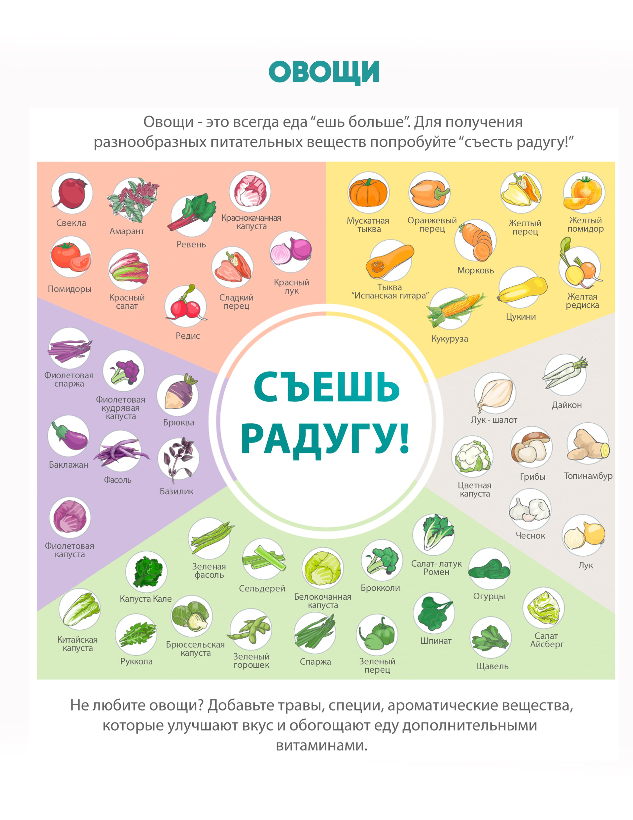Что такое правильное питание, инфографика 4